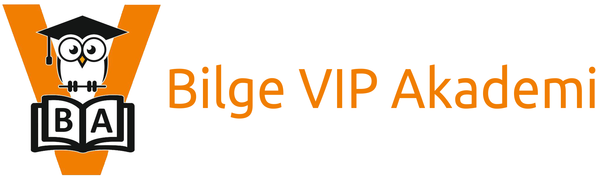 Bilge VIP Akademi