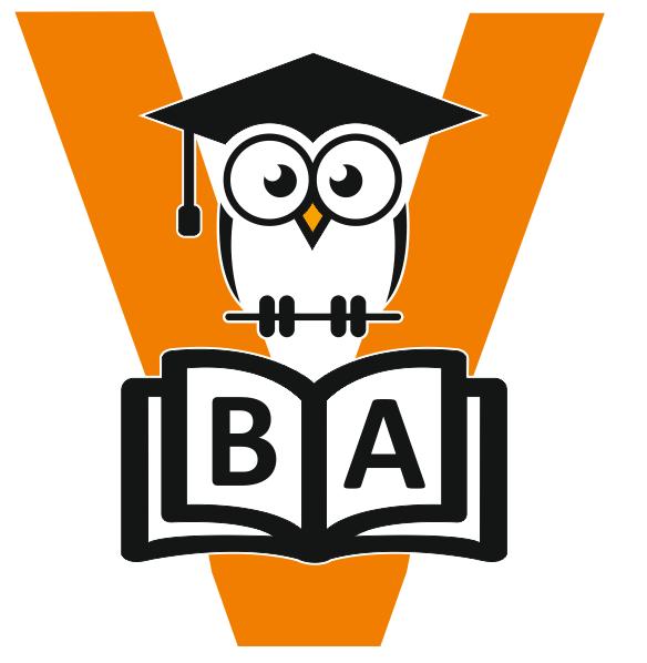 Bilge VIP Akademi